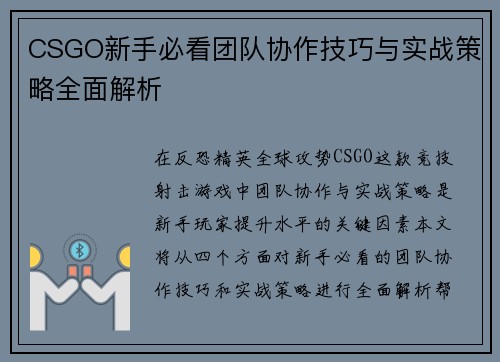 CSGO新手必看团队协作技巧与实战策略全面解析